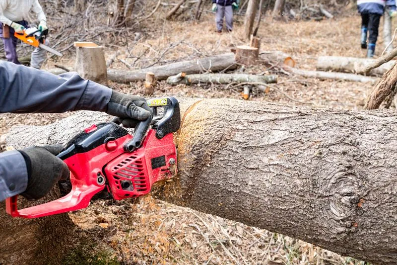 玉切り作業を行う際の注意点