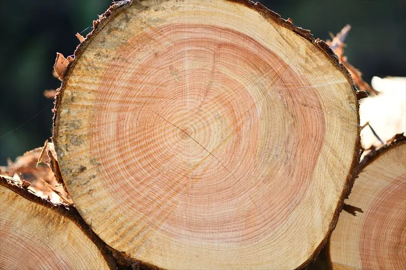 国産の木材を使用するメリットは？