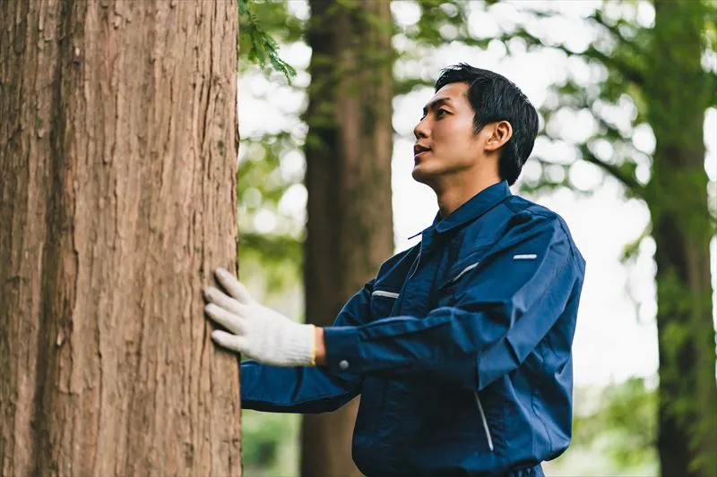 森林整備が必要な理由を解説