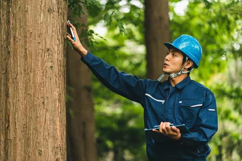 森林調査の内容について