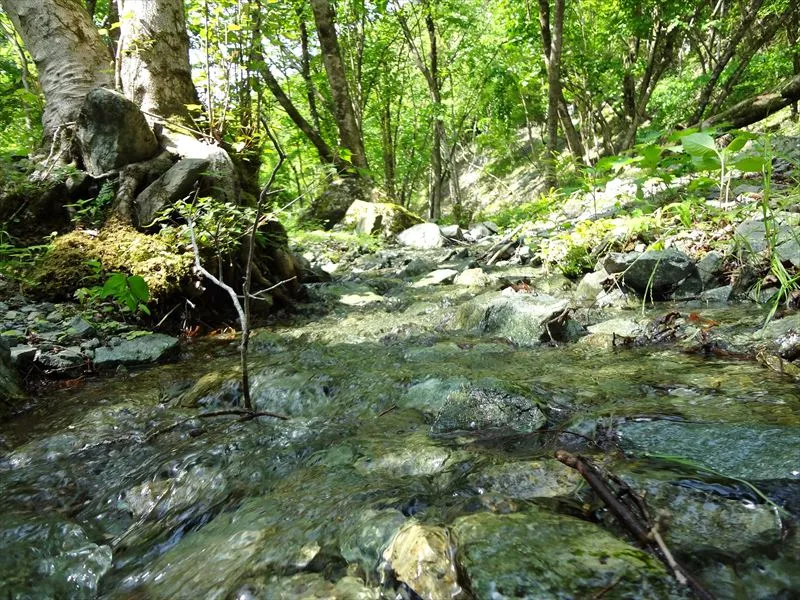 水源かん養の目的は？
