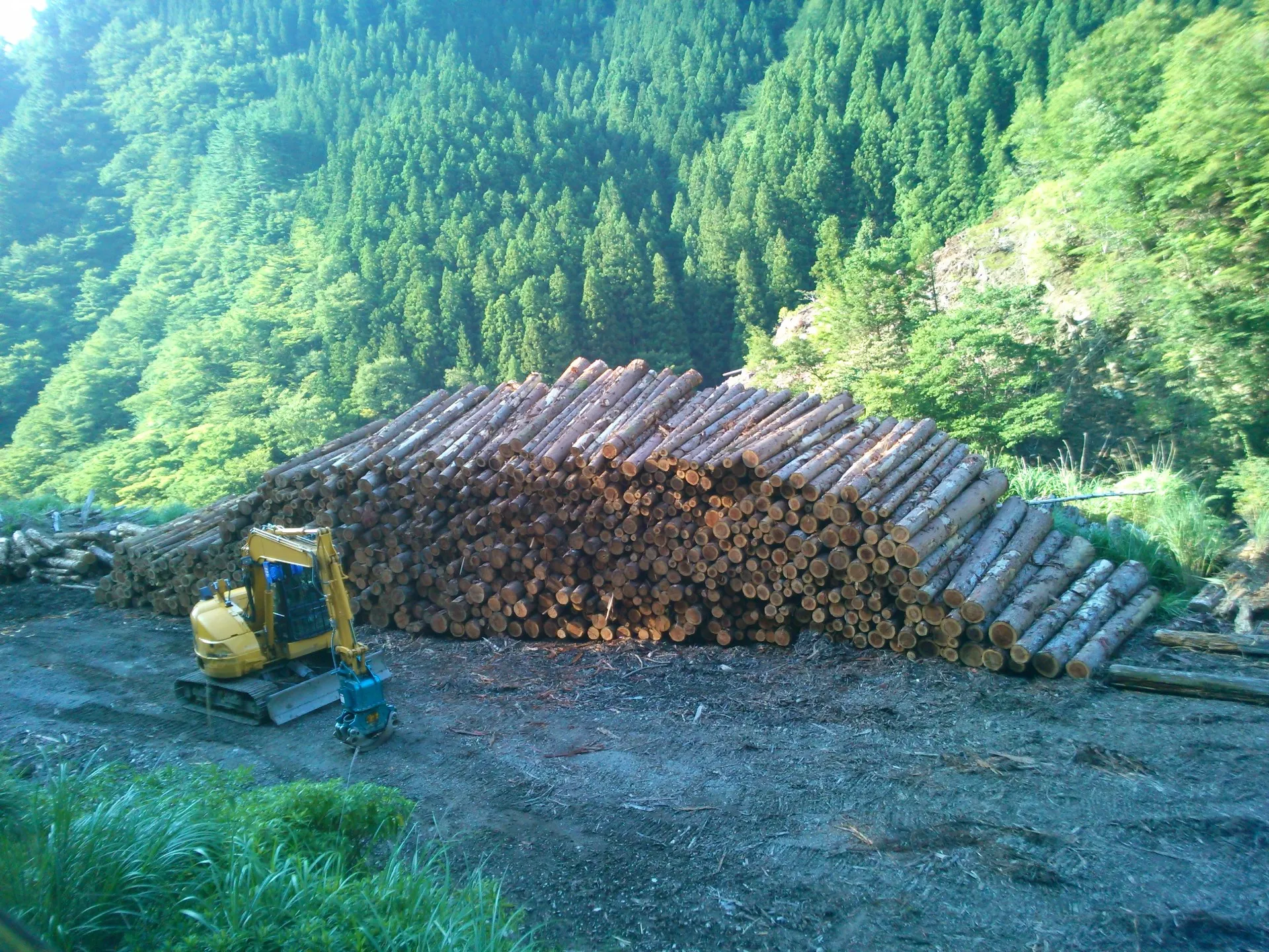 株式会社清水造林