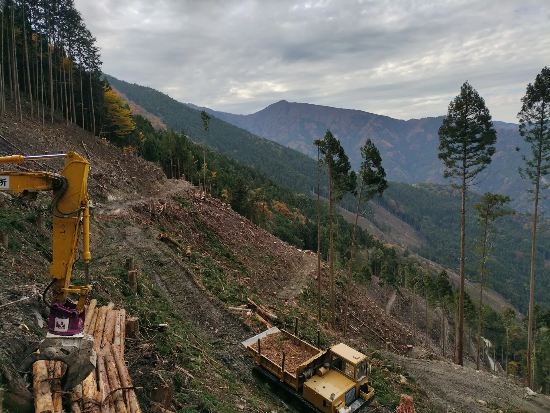 株式会社清水造林